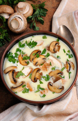 Soup puree from of champignons and chicken
