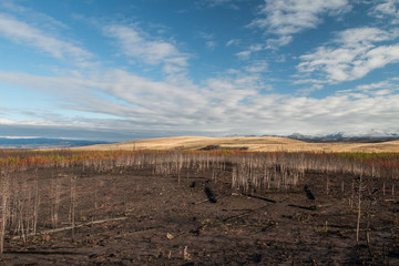Fall on the Gneiss Creek Trail