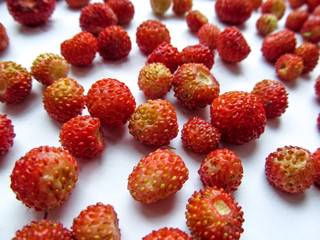 Texture of the red berries of the wild strawberries close-up. Beautiful ripe juicy delicious berries of the strawberry scattered chaotically over a white surface