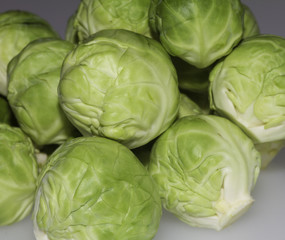 Fototapeta premium Sprouts in isolation