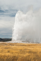 Old Faithful Geyser