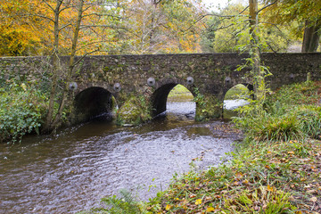 The beautiful Minnowburn stone bridge near Shaw's Bridge on the outskirts of South Belfast in Northern Ireland. Taken against a backdrop of glorious autumn colours.
