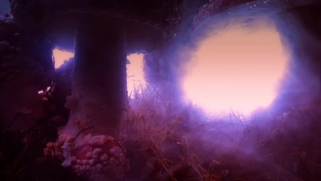 Huge amanita magic mushrooms psychedelic haze abstract 4k.mov