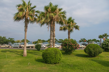 Fototapeta premium Coastal highway in the city of Antalya