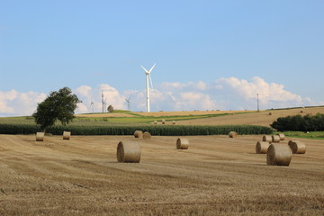 Landschaft im Sommer mit Windkraftanlagen 