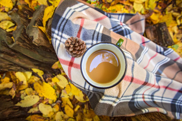 Mug with warm coffee and blanket on wooden stump on fallen yellow autumn leaves in the forest, outdoor weekend, fall camping, top view