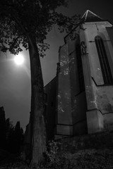 The Hunted Castle. On the Halloween night, the full moon and the obscure castle creates the environment for scary tales.
