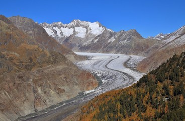 Autumn scene in Valais, Switzerland. Colorful forest, Aletsch glacier and mountains.