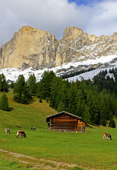 Roda di Vael e Masarè dal Passo di Costalunga; prima neve di settembre