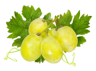 Fresh grapes isolated on white background