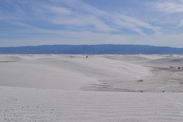 White Sands Desert Landscape Scene