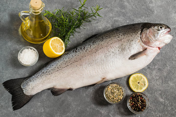 Large fresh salmon and ingredients for cooking