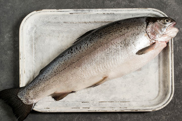 Large fresh salmon on old white tray