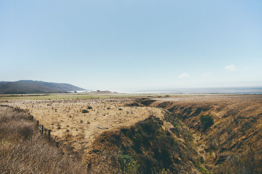 California Shoreline