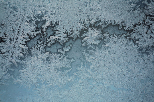 Frost Crystals On A Window