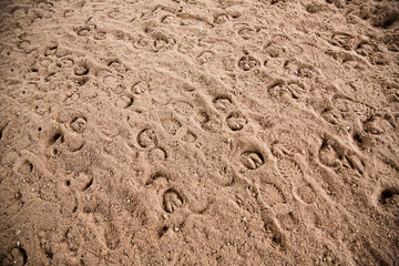 Horse footprints on the ground