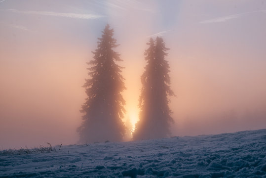 winter sunset