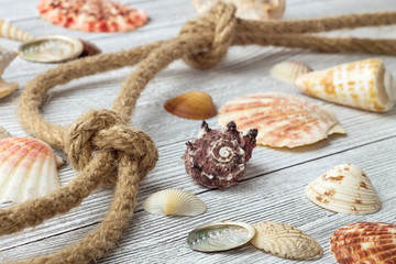 Fototapeta na wymiar Marine ​​composition with seashells and rope on a light wooden background