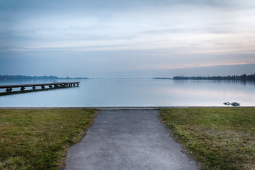Naklejka premium Palic lake from Serbia