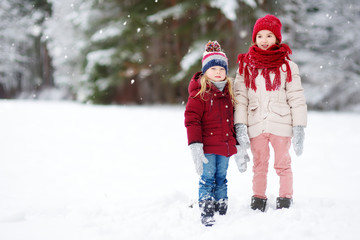 Two adorable little girls having fun together in beautiful winter park. Beautiful sisters playing in a snow.