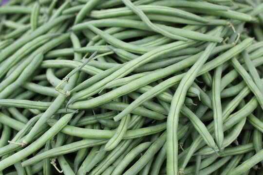 Fresh Green Beans From A Garden