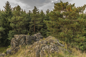 Sunset near Dominova skalka in Slavkovsky Les mountains