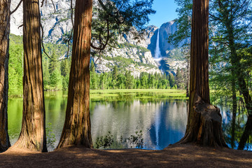 Fototapeta premium Yosemite National Park - Reflection in Merced River of Yosemite waterfall and beautiful mountain landscape, California, USA