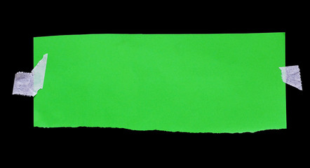 pieces of green torn paper on black. copy space