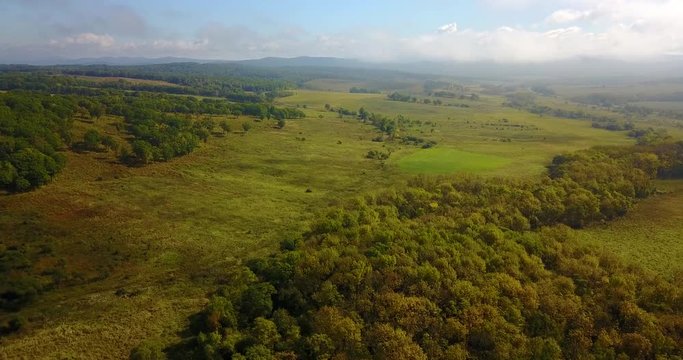 fog, road, fields, fog in the field, fog on the road, trail, Primorsky Krai, quadrocopter, shooting from height, field, green grass