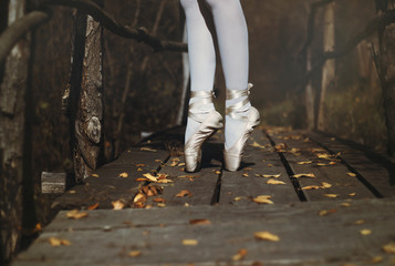 Ballet dancer in nature