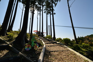 三島スカイウォーク