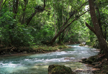 Jungle River in Caribbean