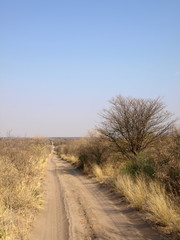 Naklejka premium Afrika