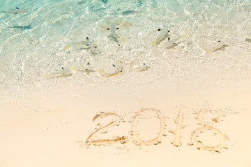 2018 inscription written on sandy beach with swimming fish in the water, Xmas festive concept