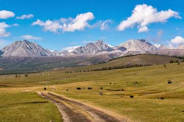 View of the Sayan Mountains from Mongolia