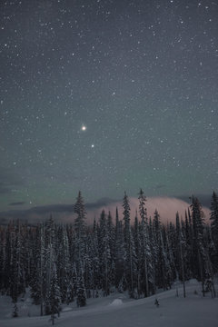 Big White Stars V