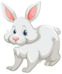 Fototapeta na wymiar Cute rabbit with white fur