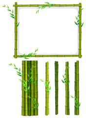 Green bamboo frame and sticks
