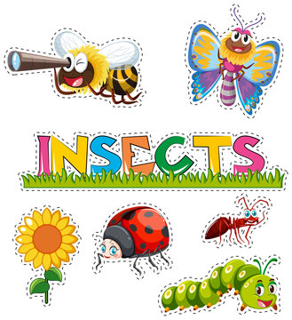 Many insects in sticker design