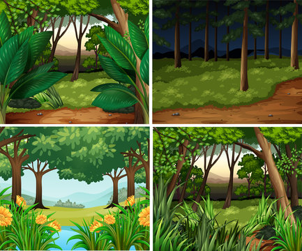 Four forest scenes at day and night