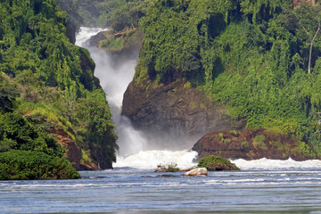 Fototapeta premium Murchison Falls in Uganda Africa