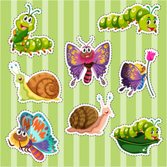 Sticker set for different types of insects
