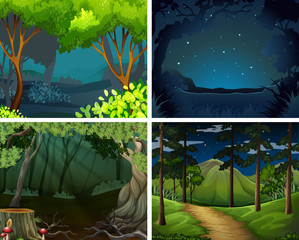 Four scenes of forest at night
