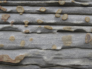 Layered stone Sandstone gray