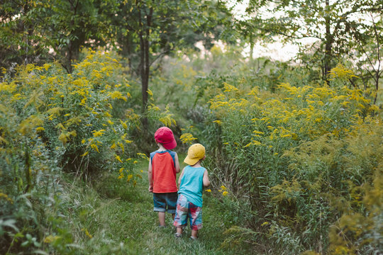 two little boys walking in a meadow