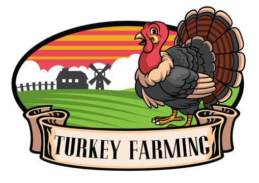 cartoon turkey farming