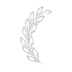 laurel decoration branch ornament image