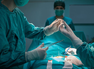 Anonymous Surgeons Operating on a Patient