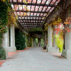 Piękna, wrocławska pergola jesienią - jesienny spacer po parku Szczytnickim oraz okolicach Hali Stulaecia © Konrad_elx