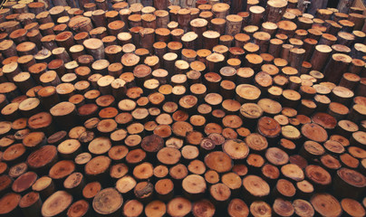 Wood texture background for interior, construction concept design.